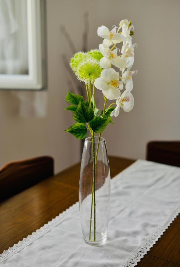Apartment Niksa Novigrad  Eksteriør billede