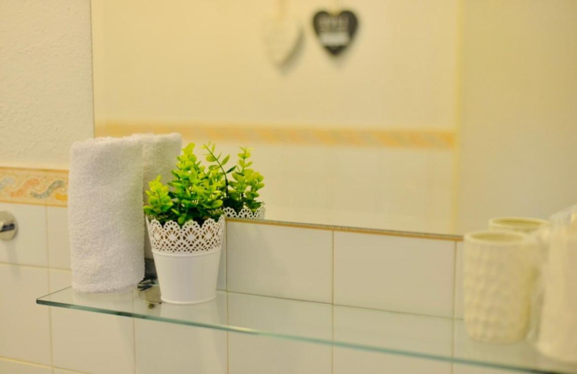 Apartment Niksa Novigrad  Eksteriør billede