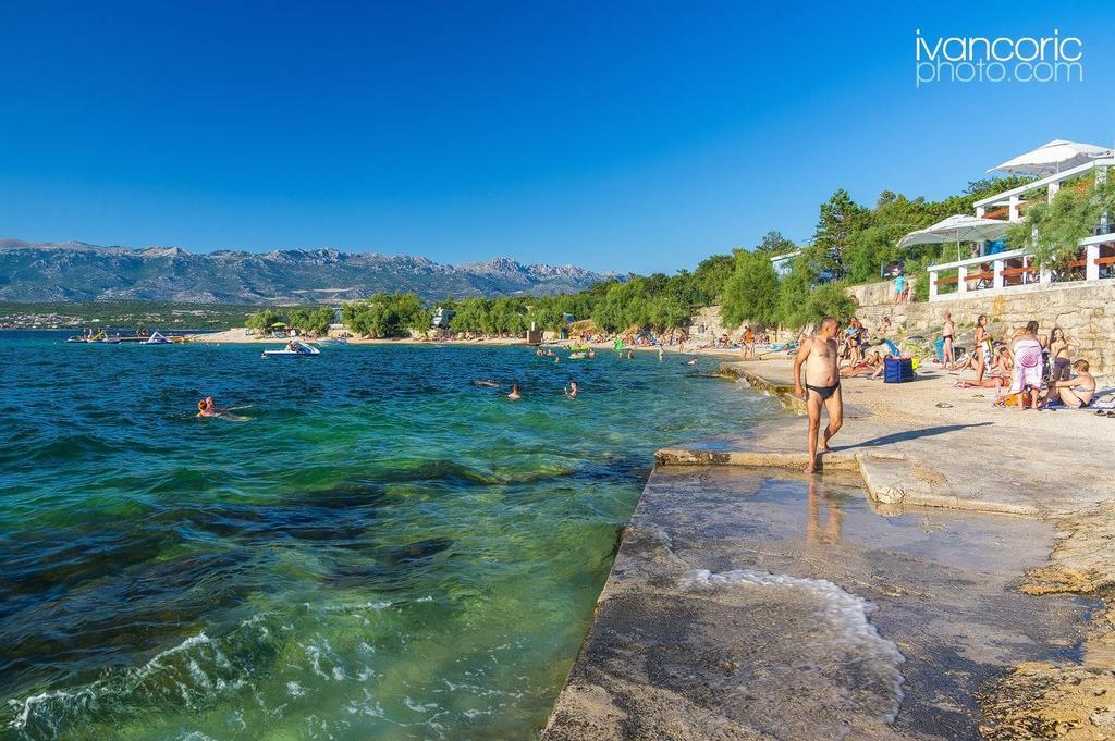 Apartment Niksa Novigrad  Eksteriør billede